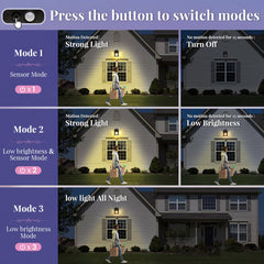 Solar Powered LED Lights